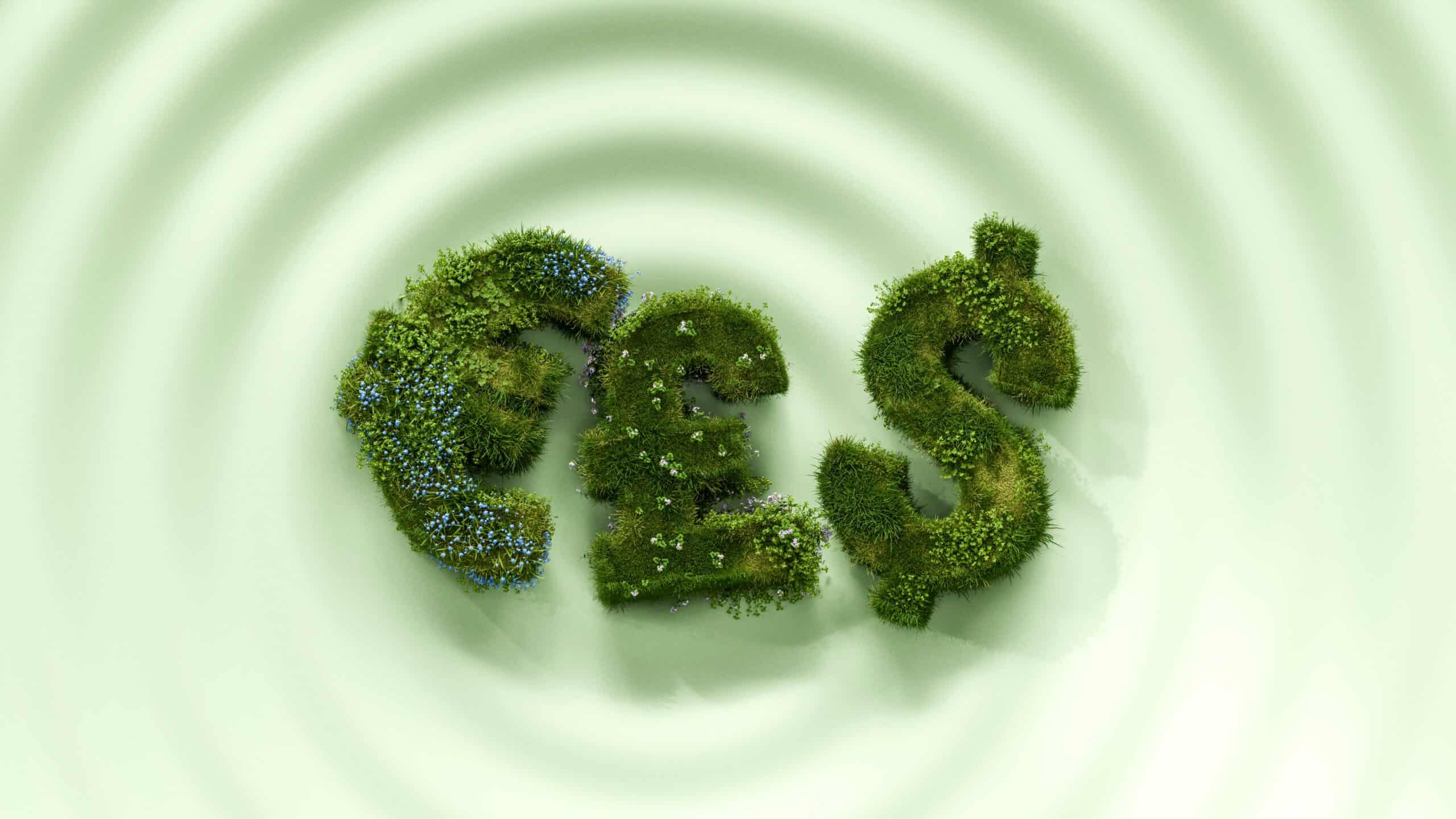 漂綠意思是什麼？2026 企業必看的防漂綠指引：掌握 6 大類型與避坑指南